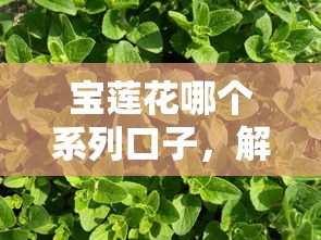 宝莲花哪个系列口子，解答五家比较好贷款的平台