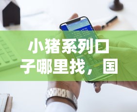 小猪系列口子哪里找，国内五大有什么好贷款的平台