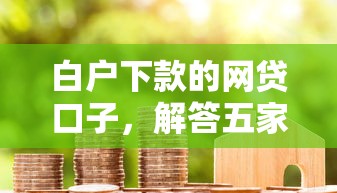 白户下款的网贷口子，解答五家有法院执行可以贷款的口子