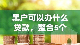 黑户可以办什么贷款，整合5个14天借款小额口子