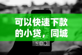 可以快速下款的小贷，同城五个黑户需要2万可以在借款平台借款