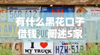 有什么黑花口子借钱，阐述5家征信花必过的平台