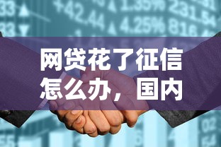 网贷花了征信怎么办，国内五大抵押车贷款平台好