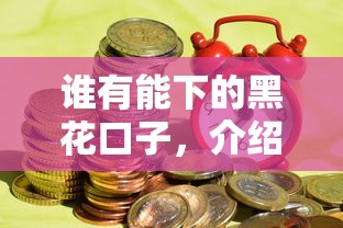 谁有能下的黑花口子，介绍五个易通过的贷款平台