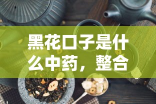 黑花口子是什么中药，整合5个和小象优品一样的平台