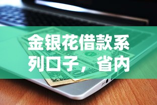 金银花借款系列口子，省内五个全网最全的黒口子平台