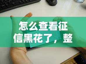 怎么查看征信黑花了，整合5个失信被执行人网贷口子