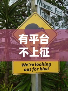 有平台不上征信的吗，阐述5家正规不查征信下款的平台