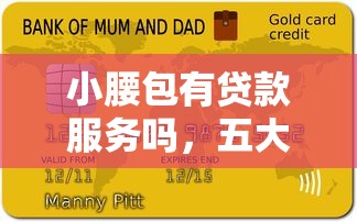 小腰包有贷款服务吗，五大网上贷款都平台