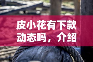 皮小花有下款动态吗，介绍五个借条贷款平台