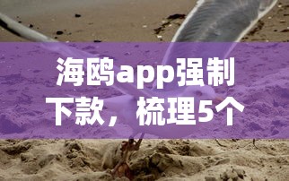 海鸥app强制下款，梳理5个比较好过的口子