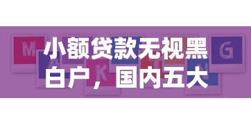 小额贷款无视黑白户，国内五大平台贷款一定下得来