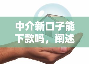 中介新口子能下款吗，阐述5家平安贷款平台