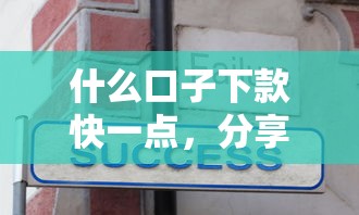 什么口子下款快一点，分享五个平台黑户可以下款的那种