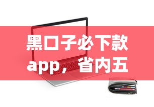 黑口子必下款app，省内五个必下款的贷款平台