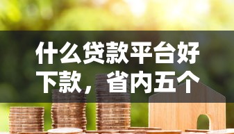 什么贷款平台好下款，省内五个小贷平台好借款
