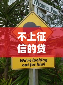 不上征信的贷款平台，汇总五个所有贷款平台名字大全