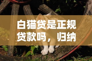 白猫贷是正规贷款吗，归纳5个18岁的贷款平台