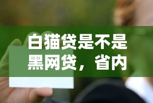 白猫贷是不是黑网贷，省内五个汽车贷款平台