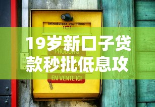 19岁新口子贷款秒批低息攻略