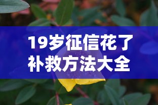 19岁征信花了补救方法大全