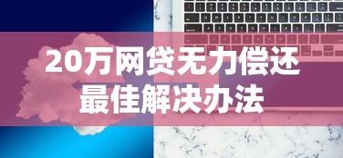 20万网贷无力偿还最佳解决办法