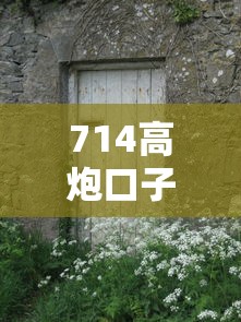 714高炮口子下载渠道与入口