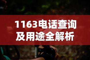 1163电话查询及用途全解析