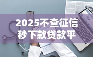 2025不查征信秒下款贷款平台