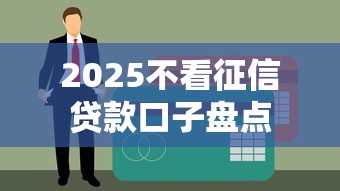 2025不看征信贷款口子盘点