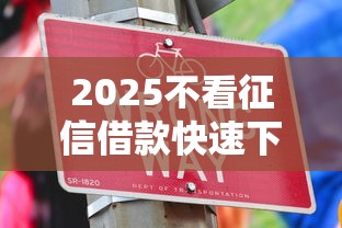 2025不看征信借款快速下款攻略