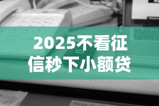 2025不看征信秒下小额贷款