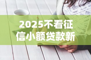 2025不看征信小额贷款新口子