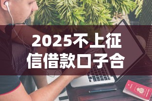 2025不上征信借款口子合集