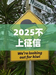 2025不上征信网贷口子推荐