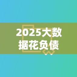 2025大数据花负债高必下口子