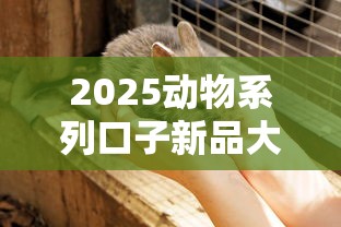 2025动物系列口子新品大盘点