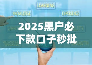2025黑户必下款口子秒批攻略