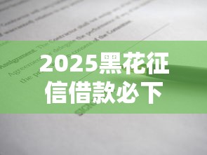 2025黑花征信借款必下5大口子