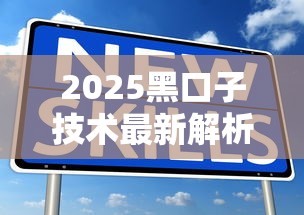 2025黑口子技术最新解析与应用