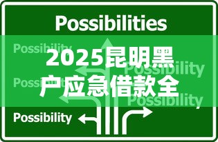 2025昆明黑户应急借款全攻略
