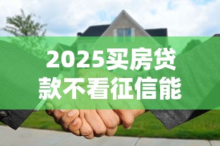 2025买房贷款不看征信能行吗