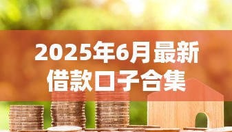 2025年6月最新借款口子合集
