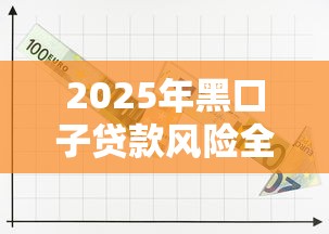 2025年黑口子贷款风险全解析