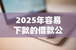 2025年容易下款的借款公司推荐