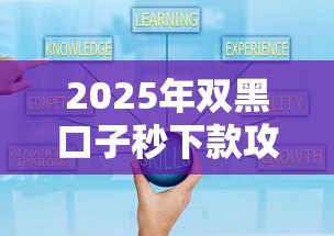 2025年双黑口子秒下款攻略