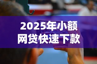 2025年小额网贷快速下款攻略