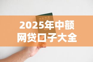 2025年中额网贷口子大全