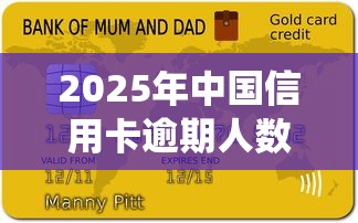 2025年中国信用卡逾期人数统计