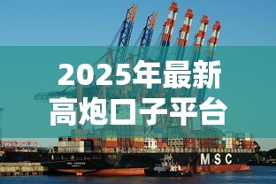 2025年最新高炮口子平台大全